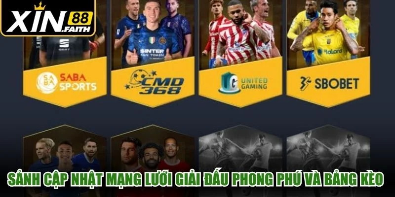 Sảnh cập nhật mạng lưới giải đấu phong phú và bảng kèo đa dạng